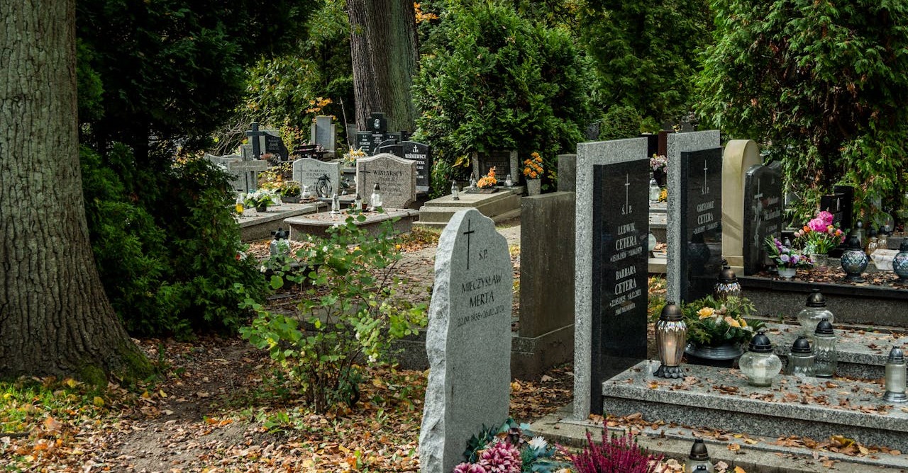 De Nederlandse uitvaartbranche