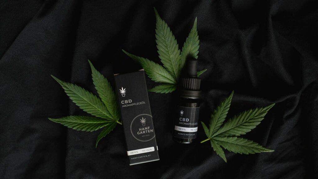 CBD-product kiezen met flesje en verpakking tussen groene hennepbladeren op donkere achtergrond